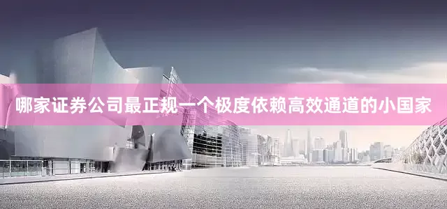哪家证券公司最正规一个极度依赖高效通道的小国家