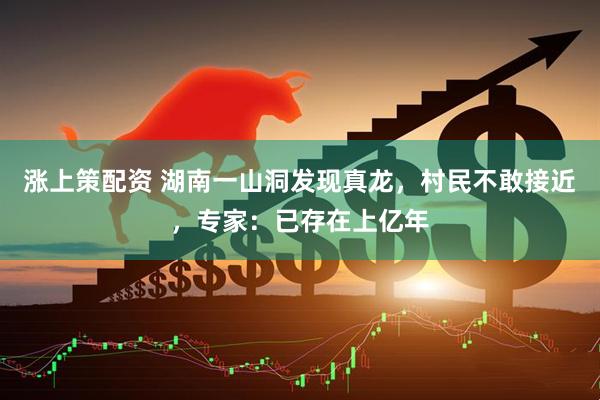 涨上策配资 湖南一山洞发现真龙，村民不敢接近，专家：已存在上亿年