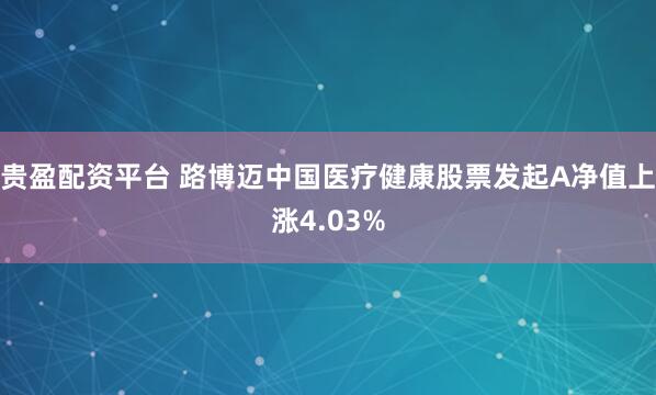 贵盈配资平台 路博迈中国医疗健康股票发起A净值上涨4.03%